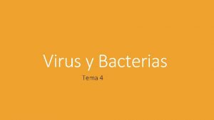 Virus y Bacterias Tema 4 Virus y bacterias