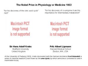 The Nobel Prize in Physiology or Medicine 1953