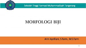 Sekolah Tinggi Farmasi Muhammadiyah Tangerang MORFOLOGI BIJI Arini