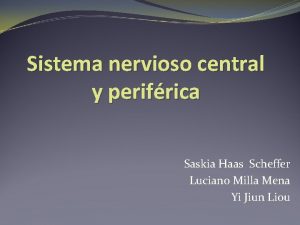 Sistema nervioso central y perifrica Saskia Haas Scheffer