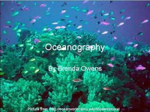 Oceanography By Brenda Owens Picture from http oceanworld