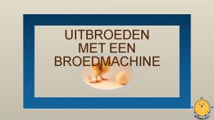 EIEREN UITBROEDEN MET EEN BROEDMACHINE Inhoud 1 Hoe