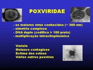 POXVIRIDAE os maiores vrus conhecidos 300 nm simetria