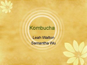 Kombucha Leah Walton Samantha Wu What is Kombucha