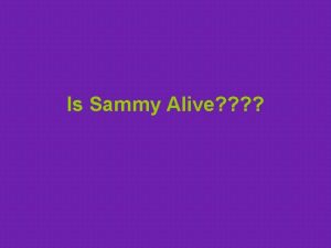Is Sammy Alive Sammy was a normal healthy