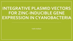 INTEGRATIVE PLASMID VECTORS FOR ZINCINDUCIBLE GENE EXPRESSION IN