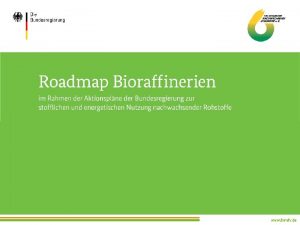 Roadmap Bioraffinerien Leitfragen g Wie sind Bioraffinerien im