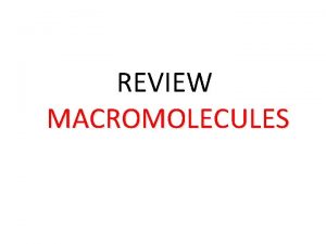 REVIEW MACROMOLECULES The four macromolecules are carbohydrates proteins