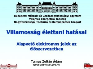 Budapesti Mszaki s Gazdasgtudomnyi Egyetem Villamos Energetika Tanszk