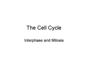 The Cell Cycle Interphase and Mitosis All living