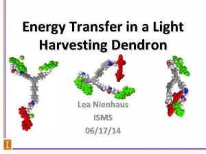 Energy Transfer in a Light Harvesting Dendron Lea