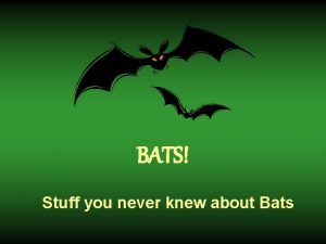 BATS Stuff you never knew about Bats Is