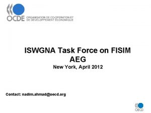 ISWGNA Task Force on FISIM AEG New York