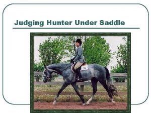 Judging Hunter Under Saddle 1 Hunter Under Saddle