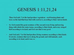 GENESIS 1 11 24 Then God said Let