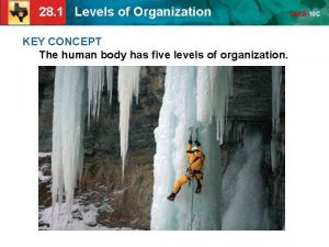 28 1 Levels of Organization KEY CONCEPT The
