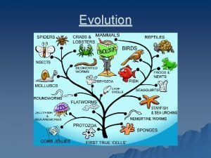Evolution u Evolution any process of change over