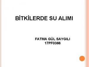 BTKLERDE SU ALIMI FATMA GL SAYGILI 17 PF