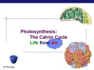 Photosynthesis The Calvin Cycle Life from Air AP
