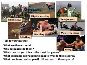 Alligator wrestling Show jumping Horse racing Wrestling Motorcycle