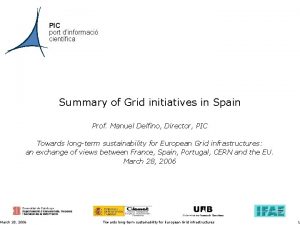 PIC port dinformaci cientfica Summary of Grid initiatives