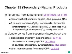 Chapter 28 Secondary Natural Products r Terpenes uprimary