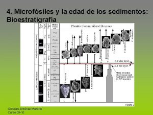 4 Microfsiles y la edad de los sedimentos