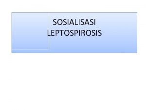 SOSIALISASI LEPTOSPIROSIS LEPTOSPIROSIS Penyakit infeksi yang disebabkan oleh