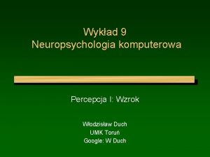 Wykad 9 Neuropsychologia komputerowa Percepcja I Wzrok Wodzisaw