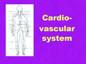 Cardiovascular system Functions Transport nutrients gases wastes and