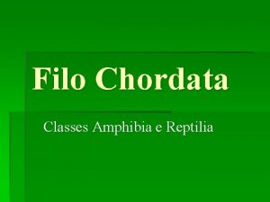 Filo Chordata Classes Amphibia e Reptilia I Classe