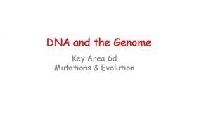 DNA and the Genome Key Area 6 d