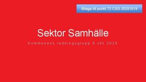 Bilaga till punkt 72 CSG 20201019 Sektor Samhlle