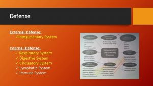 Defense External Defense Integumentary System Internal Defense Respiratory