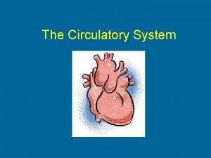 The Circulatory System Transportation system by which oxygen