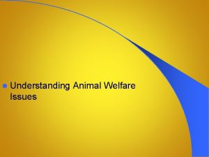 l Understanding Issues Animal Welfare Next Generation ScienceCommon