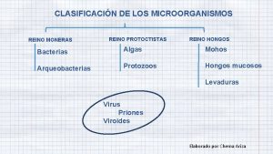 CLASIFICACIN DE LOS MICROORGANISMOS REINO MONERAS REINO PROTOCTISTAS