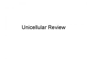 Unicellular Review Unicellular Definition Organism made up of