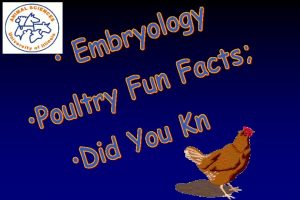 Ken Koelkebeck Extension Specialist Poultry University of Illinois