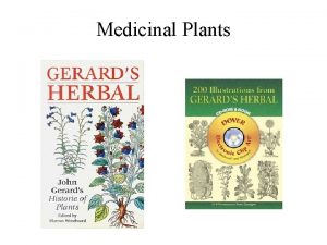 Medicinal Plants Ancient archaeological records of medicinal plants