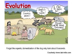 Evolution Courtesty www labinitio com Definitions Evolution the