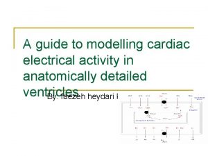 A guide to modelling cardiac electrical activity in