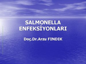 SALMONELLA ENFEKSYONLARI Do Dr Arzu FINDIK Giri Salmonella