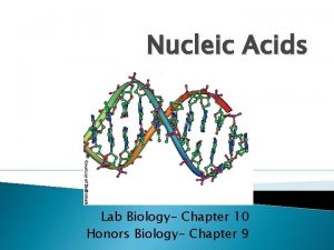 Nucleic Acids Lab Biology Chapter 10 Honors Biology