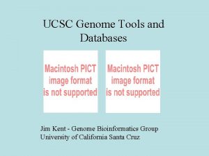 UCSC Genome Tools and Databases Jim Kent Genome