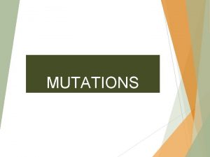 MUTATIONS WHAT ARE MUTATIONS KEY CONCEPT Mutations are