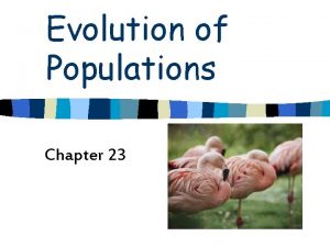 Evolution of Populations Chapter 23 Macroevolution n Evolution