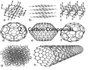 2 3 Carbon Compounds Carbon Compounds Organic chemistry