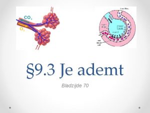 9 3 Je ademt Bladzijde 70 Ademhalingsstelsel Bestaat