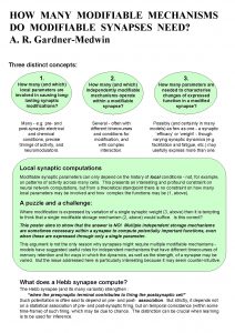 HOW MANY MODIFIABLE MECHANISMS DO MODIFIABLE SYNAPSES NEED